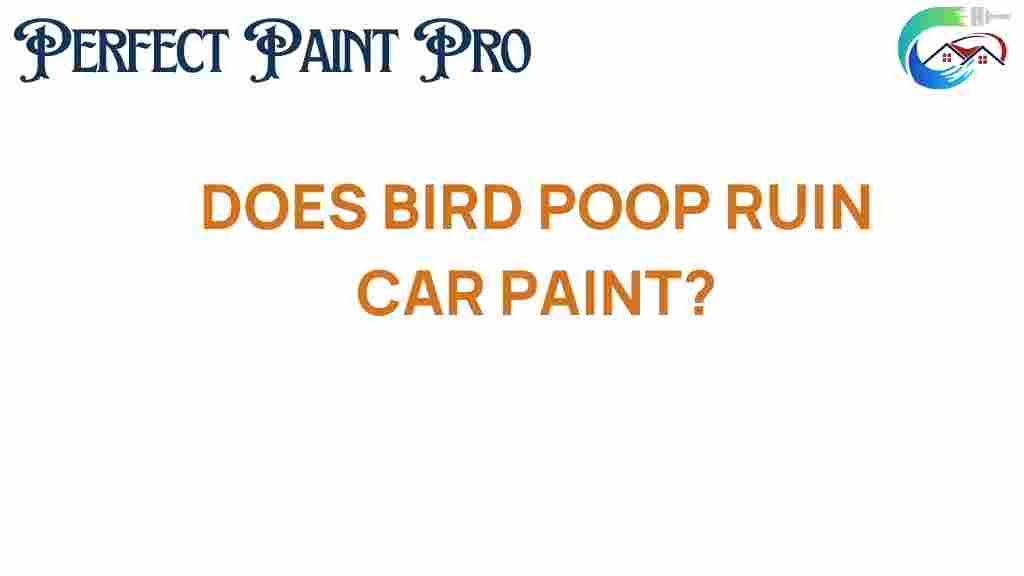 does-bird-poop-ruin-car-paint
