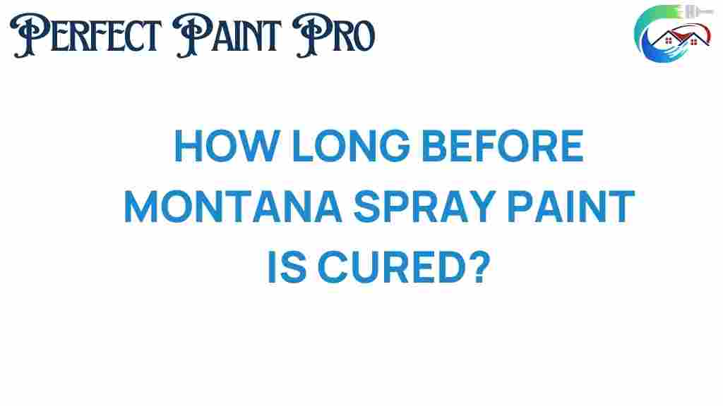 how-long-before-montana-spray-paint-cures