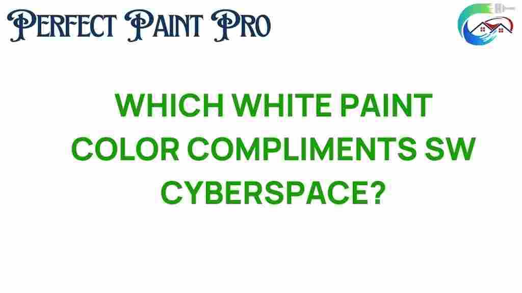 unlock-white-paint-swat-cyberspace